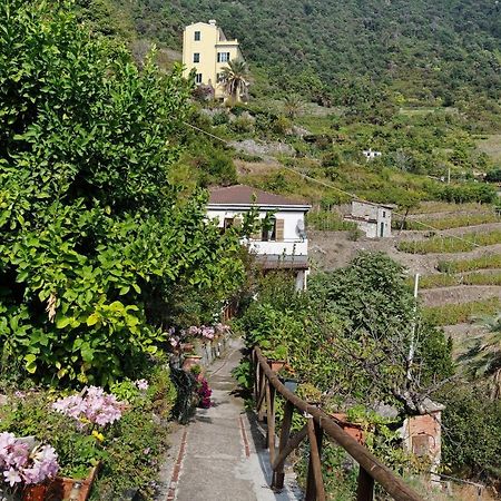 Villa Lardarina Corniglia Extérieur photo