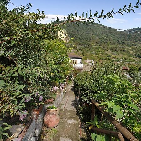 Villa Lardarina Corniglia Extérieur photo
