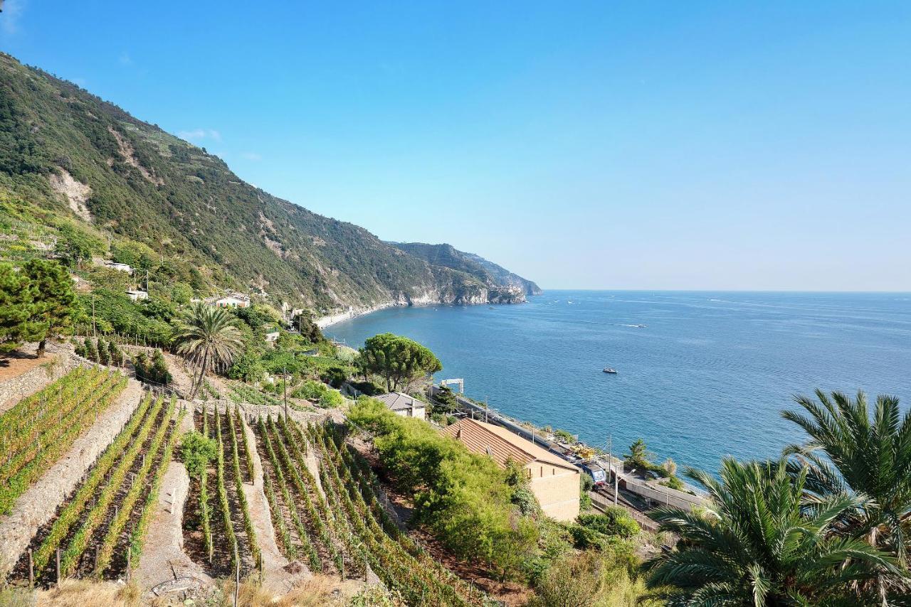 Villa Lardarina Corniglia Extérieur photo