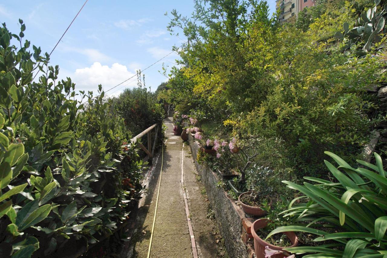 Villa Lardarina Corniglia Extérieur photo