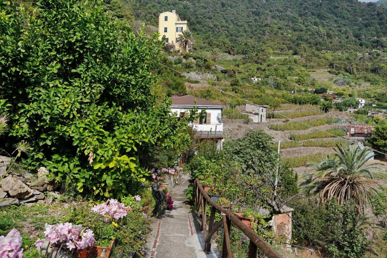 Villa Lardarina Corniglia Extérieur photo