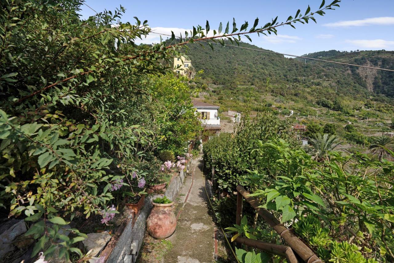 Villa Lardarina Corniglia Extérieur photo